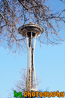 Tree Branches in Front of Space Needle painting