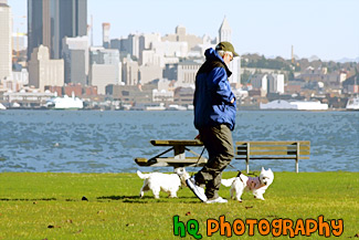 Man Walking Dogs painting