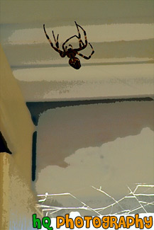 Big Brown Spider painting