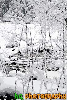 Snow on Trees & Branches painting