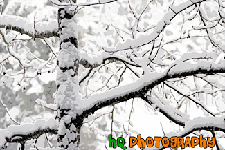 Snowy Tree Branches painting