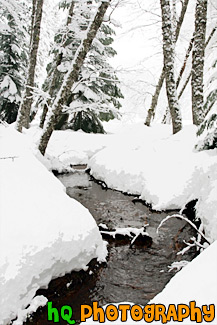 Water Creek Between Snow painting