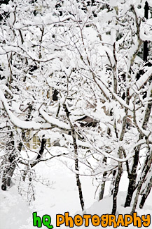 White Snow on Tree Branches painting