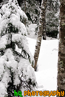 Winter Snow Forest painting