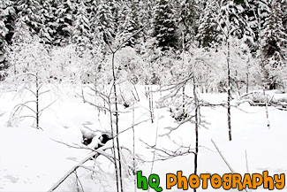 Snowy Scene In Longmire painting