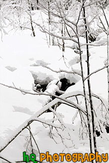 Snowy Winter Wilderness painting