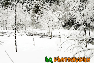 Snowy Winter Trees in Wilderness painting