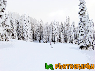 Snowboarder & Winter Snow painting