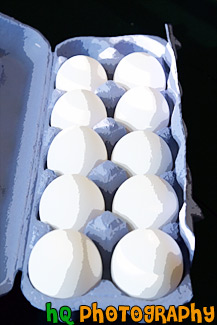 10 Eggs in a Carton painting