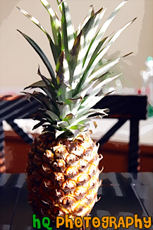 Pineapple painting