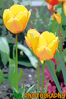 Orange & Red Tinted Tulips painting