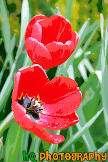 Red Tulip Flowers painting