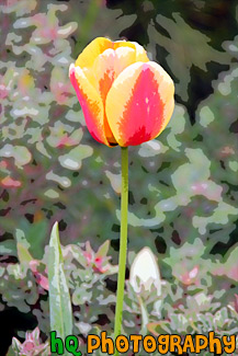 Red, Orange, & Yellow Tulip painting