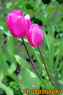 Pink Tulips painting