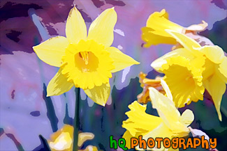 Yellow Daffodil Flowers painting