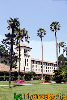 Nobili Hall & Palm Tress in Mission Gardens, Santa Clara painting