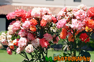 Assorted Pink Flowers painting