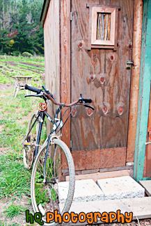 Old Bicycle Leaning Against Shed painting