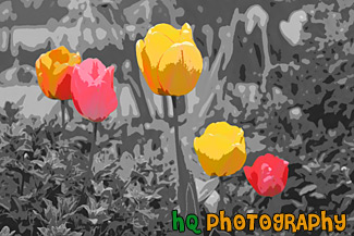 Tulips Art painting