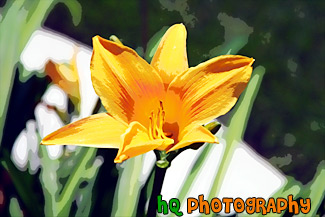 Orangish-Yellow Flower painting