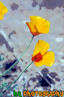 Orange Poppy Flowers painting