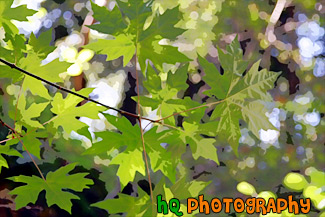 Green Maple Leaves painting