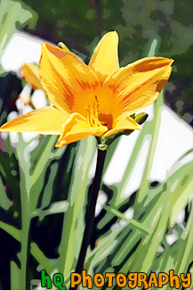 large version