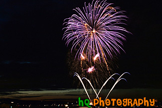 Purple Fireworks painting