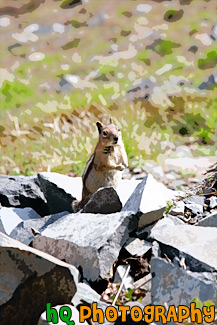 Standing Squirrel painting