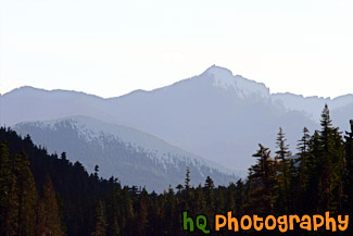 Hills of Mt. Rainier National Park painting