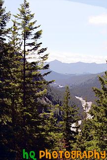large version
