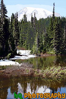 Reflection Lake, Trees, & Mt. Rainier painting