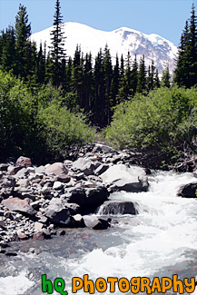 Mt. Rainier & River painting