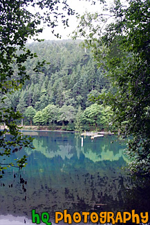 Early Morning Lake Reflections painting