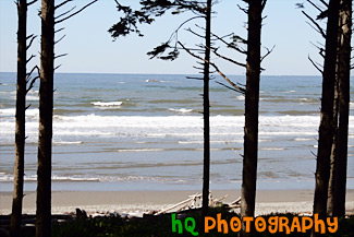 Ruby Beach Ocean Waves painting