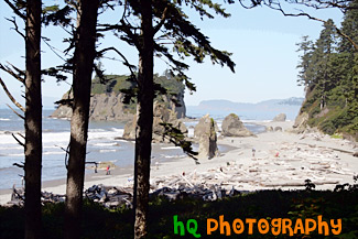 Looking Out at Ruby Beach painting