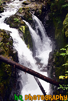 Sol Duc Falls painting