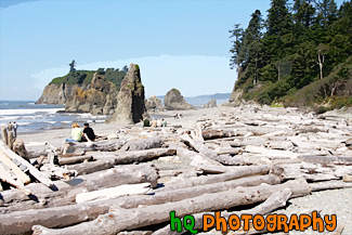 Logs & People on Ruby Beach painting