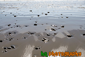 Small Rocks on Beach painting