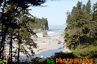 Looking Down at Ruby Beach painting