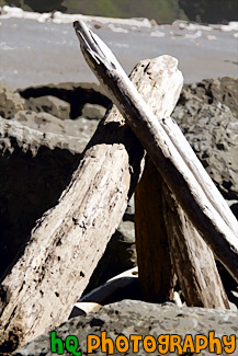 Drift Wood Stacked Up painting