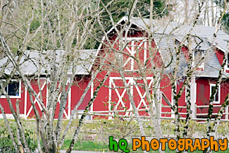 Barn Thourgh Tree Branches painting