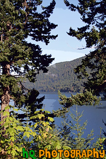 Lake Cresent and Trees painting