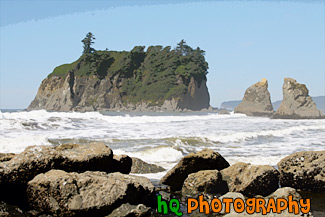 Ruby Beach Sea Stacks painting