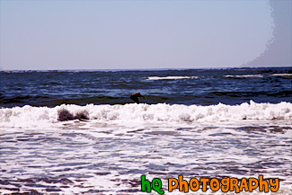 Ocean Waves & Crane Flying painting