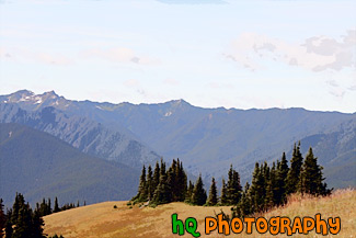 Olympic Mountain Hills & Field painting