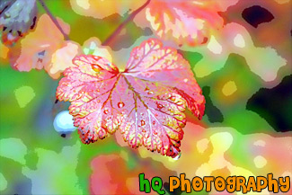 Autumn Leaf & Water Drops painting