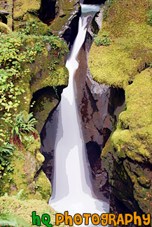 Ladder Creek Falls painting