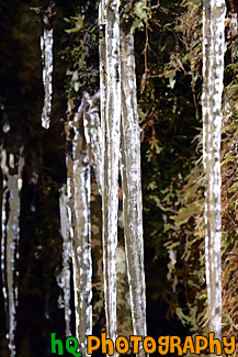 Icicles Close Up painting