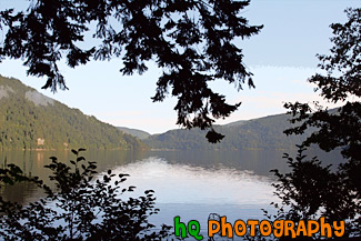 Lake Cresent & Tree Branch Silhouettes painting